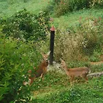Im Nationalpark Gesaeuse
