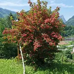 Im Nationalpark Gesaeuse *