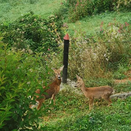 Im Nationalpark Gesaeuse
