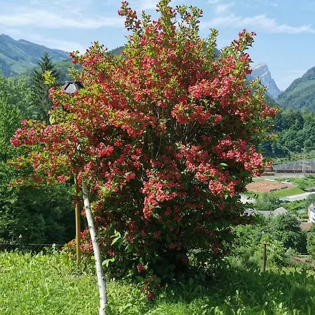 Im Nationalpark Gesaeuse *