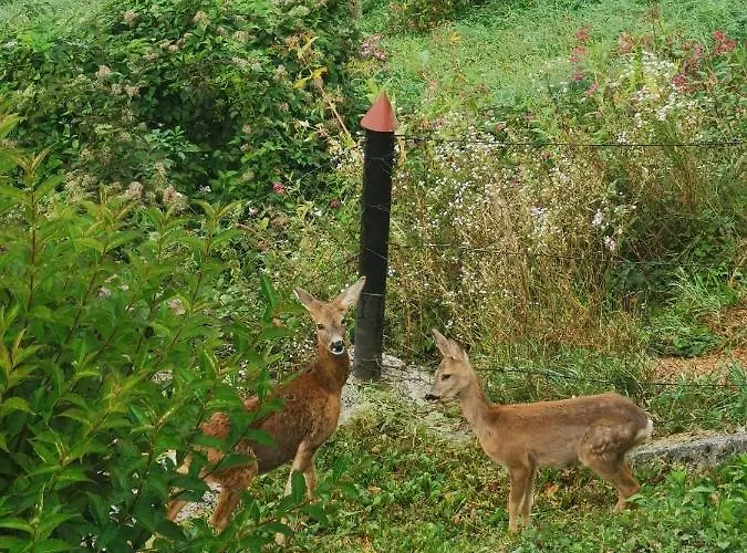 Im Nationalpark Gesaeuse